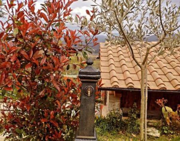 Il Podere Di Massi Barberino di Mugello Exterior foto