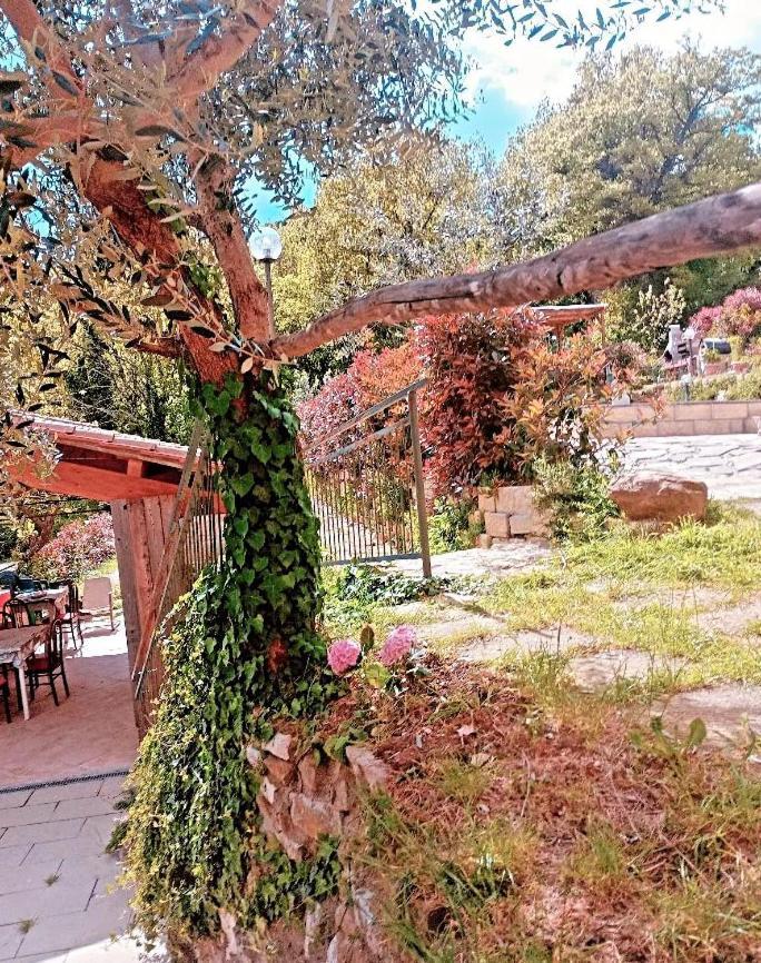 Il Podere Di Massi Barberino di Mugello Exterior foto