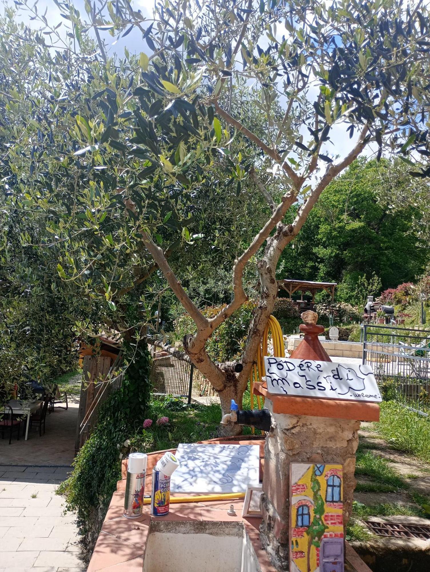 Il Podere Di Massi Barberino di Mugello Exterior foto